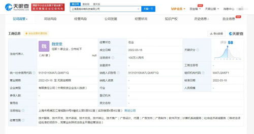 計(jì)算機(jī)系統(tǒng)服務(wù) 數(shù)字化時代的基石與引擎
